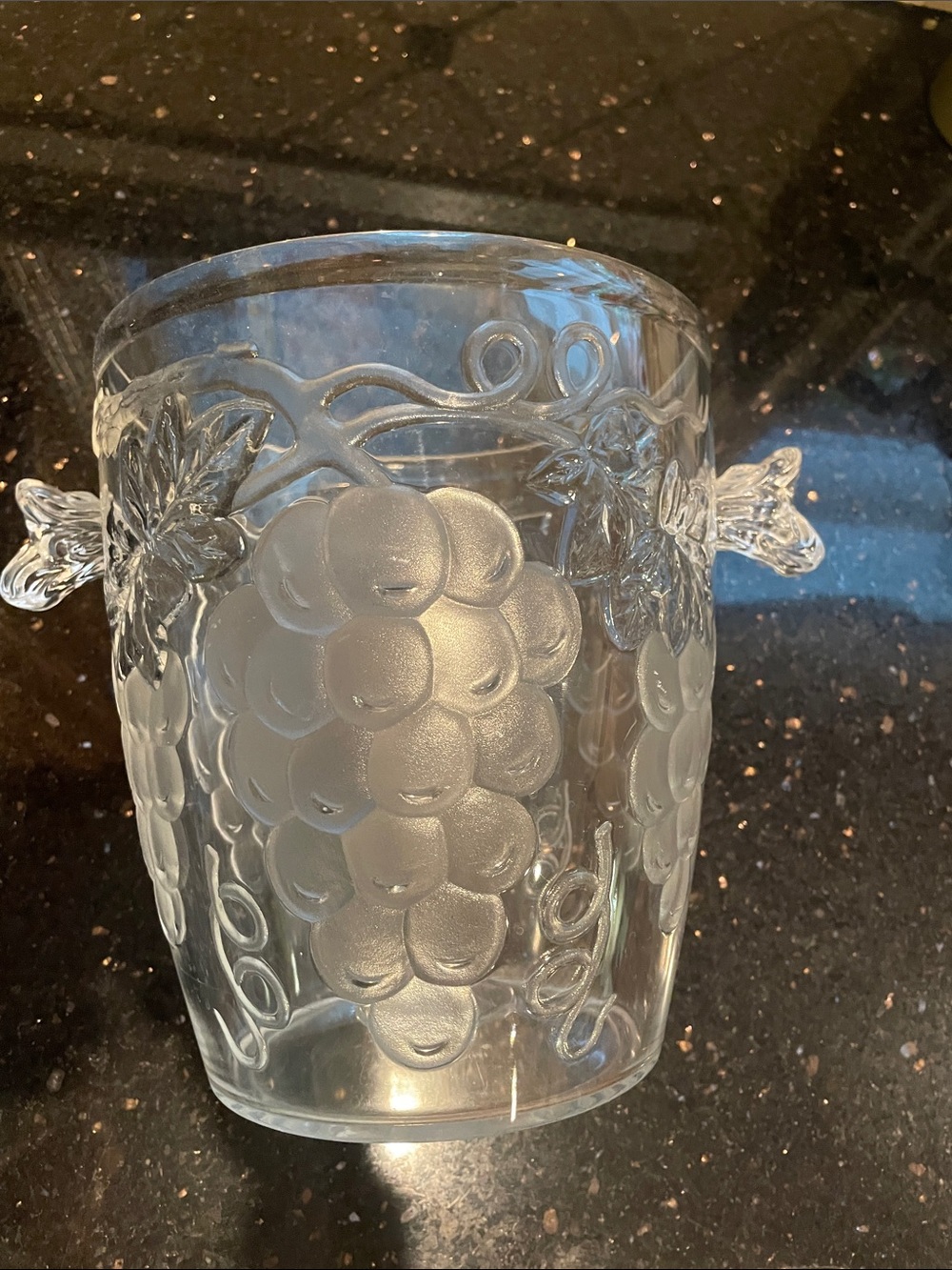 Beautiful Rare Vintage Acrylic Ice Bucket Grapes Vines Clear/Frosted